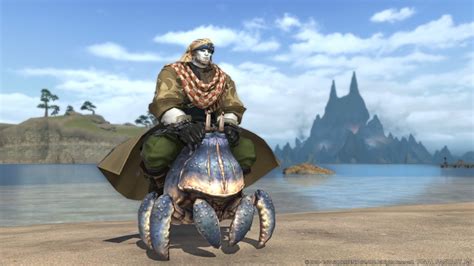 ffxiv big shell.